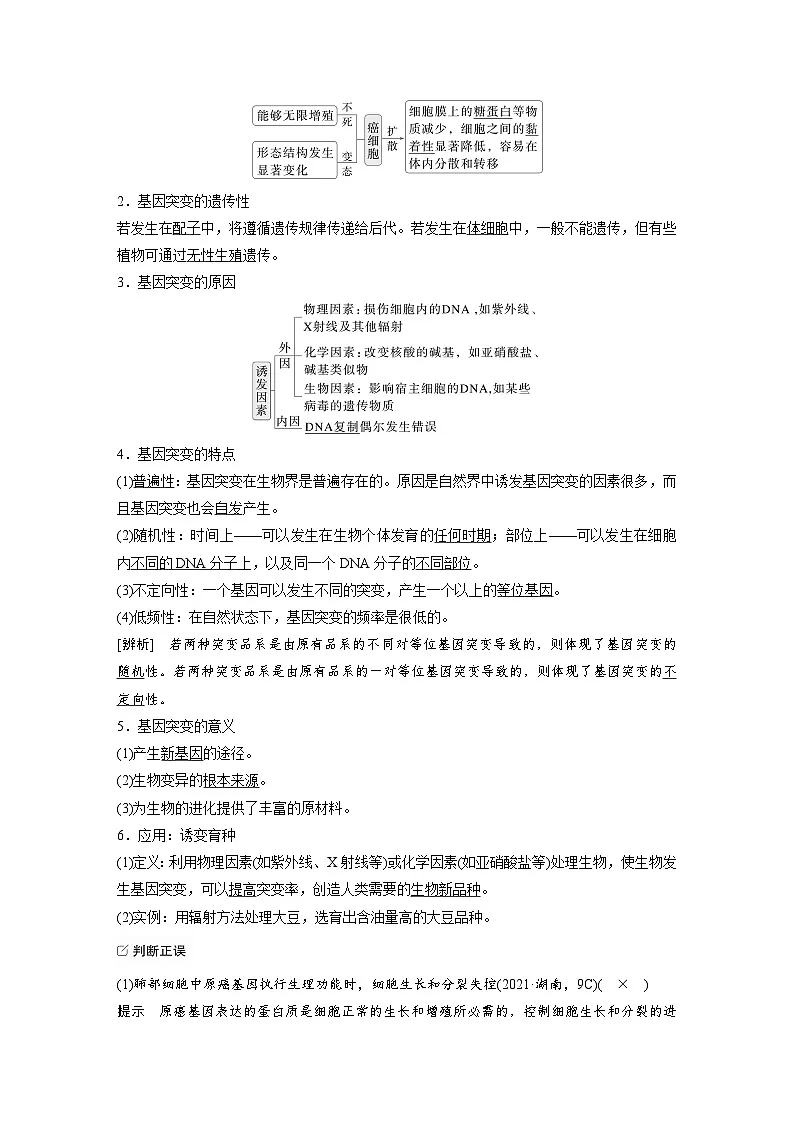 【备考2026】高考生物一轮复习资源:第7单元 第29课时 基因突变和基因重组(讲与练)(教师版)第3页