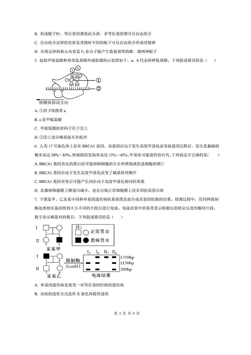 炎德·英才大联考长郡2026届高三上月考试卷(一)生物试题卷(含答案)第2页