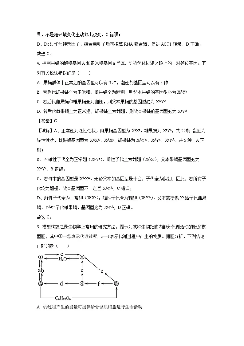 广东省六校联盟2025-2026学年高三上学期第一次联考生物试卷(解析版)第3页