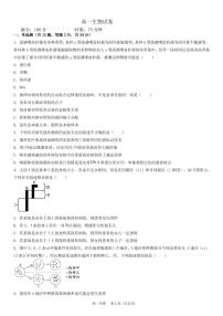 湖南省娄底市部分普通高中2024-2025学年高一下学期期末考试生物试题（PDF版附答案）
