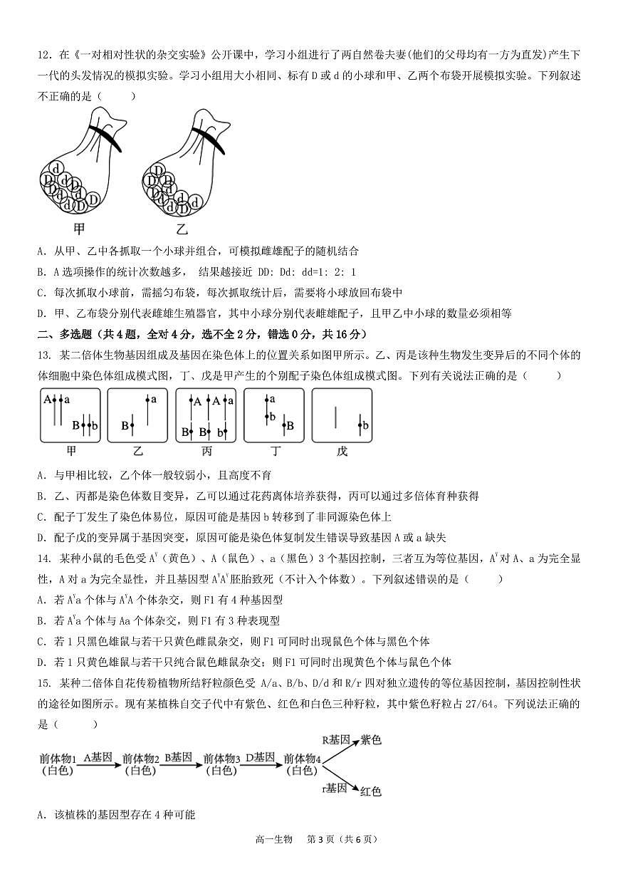 湖南省娄底市部分普通高中2024-2025学年高一下学期期末考试生物试题(PDF版附答案)第3页