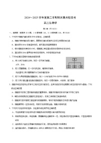 天津市五区县重点校2024-2025学年高二下学期7月期末联考生物学试卷