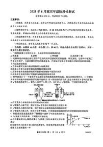 山西省2026届高三上学期8月阶段性测试(26003C)-生物试题+答案