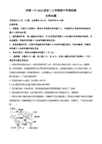山东省济南第一中学2024-2025学年高三上学期期中学情检测试题生物
