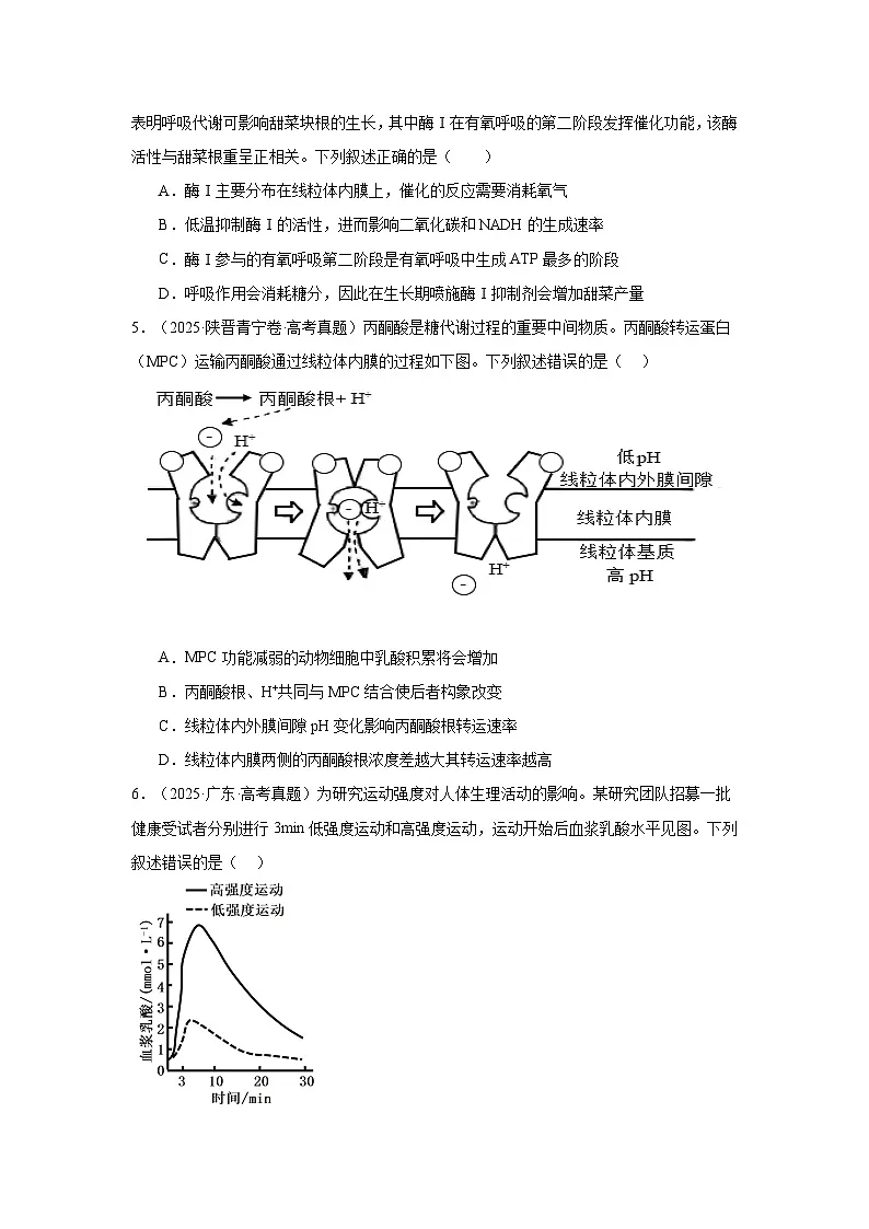 备战2026年高考生物(2025年真题分类汇编通用版)专题03细胞呼吸和光合作用(原卷版)第2页