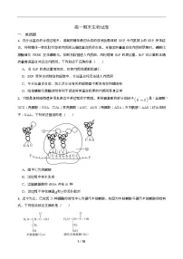 湖南省长沙市岳麓实验中学2024-2025学年高一下学期7月期末考试生物试卷