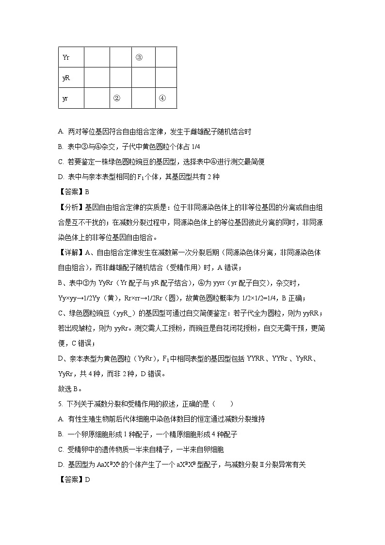河北省保定市2024-2025学年高一下学期7月期末调研考试生物试题(解析版)第3页