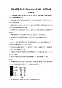 河北省石家庄市等2地2024-2025学年高一下学期6月月考生物试题（解析版）
