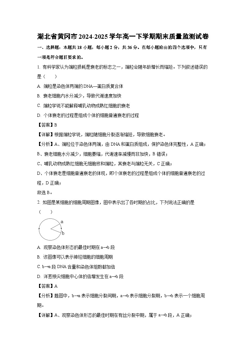湖北省黄冈市2024-2025学年高一下学期期末质量监测生物试题(解析版)第1页