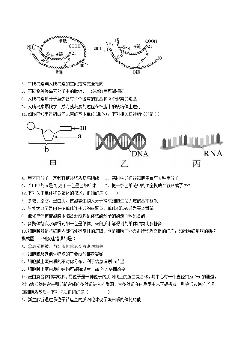 河北省张家口市第一中学2024-2025学年高二下学期期末考试生物试卷(Word版附答案)第3页