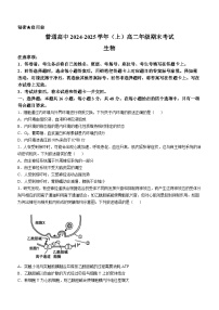 河南省周口市2024-2025学年高二上学期1月期末考试生物试卷+答案