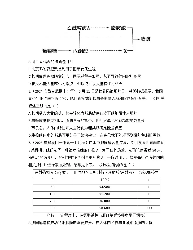 2.3细胞中的糖类和脂质-同步练习 2025—2026学年高一上学期生物人教版必修1第2页