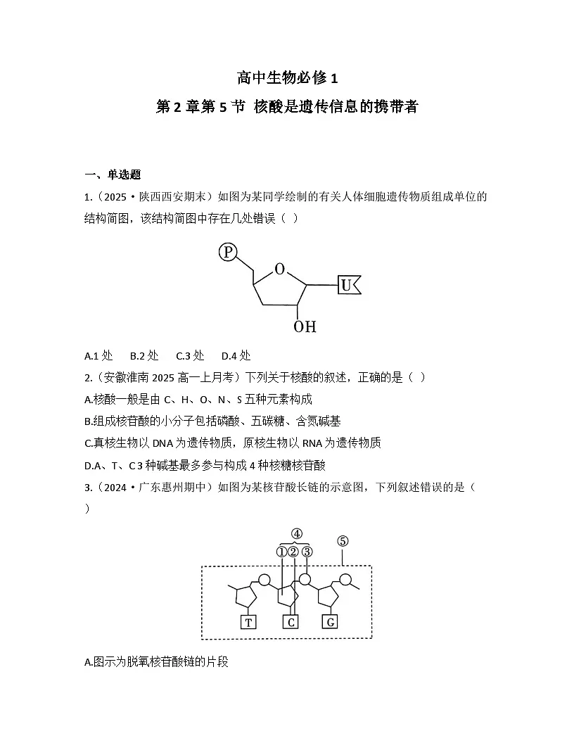 2.5核酸是遗传信息的携带者-同步练习 2025—2026学年高一上学期生物人教版必修1第1页