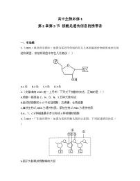 高中生物人教版 (2019)必修1《分子与细胞》核酸是遗传信息的携带者达标测试