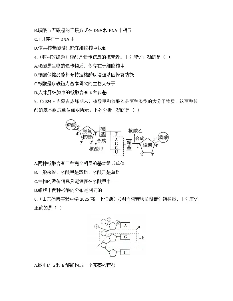 2.5核酸是遗传信息的携带者-同步练习 2025—2026学年高一上学期生物人教版必修1第2页