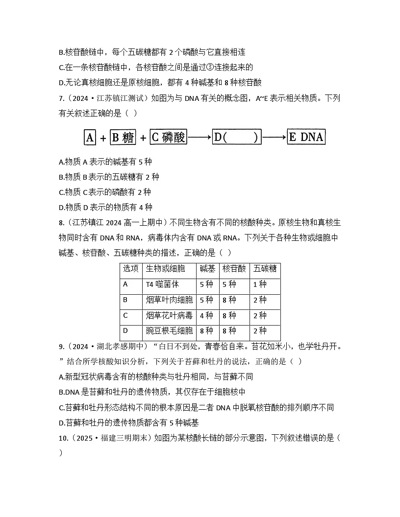 2.5核酸是遗传信息的携带者-同步练习 2025—2026学年高一上学期生物人教版必修1第3页