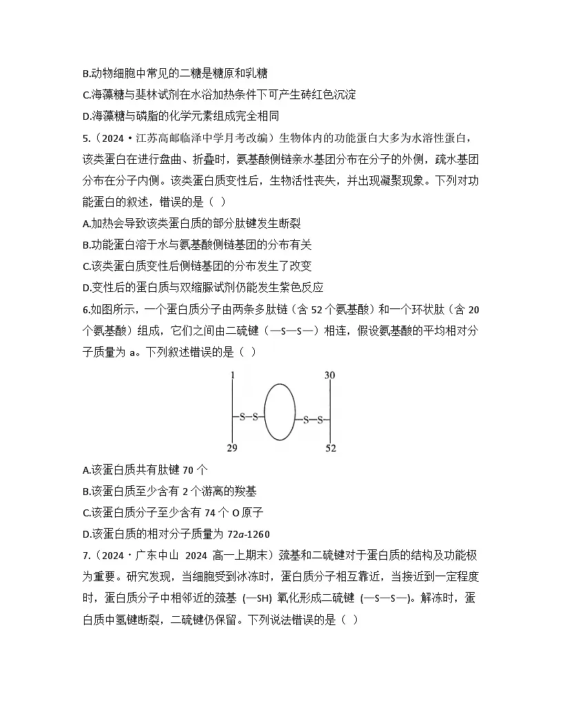 第2章 组成细胞的分子-检测卷 2025—2026学年高一上学期生物人教版必修1第2页