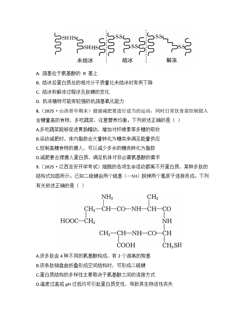 第2章 组成细胞的分子-检测卷 2025—2026学年高一上学期生物人教版必修1第3页