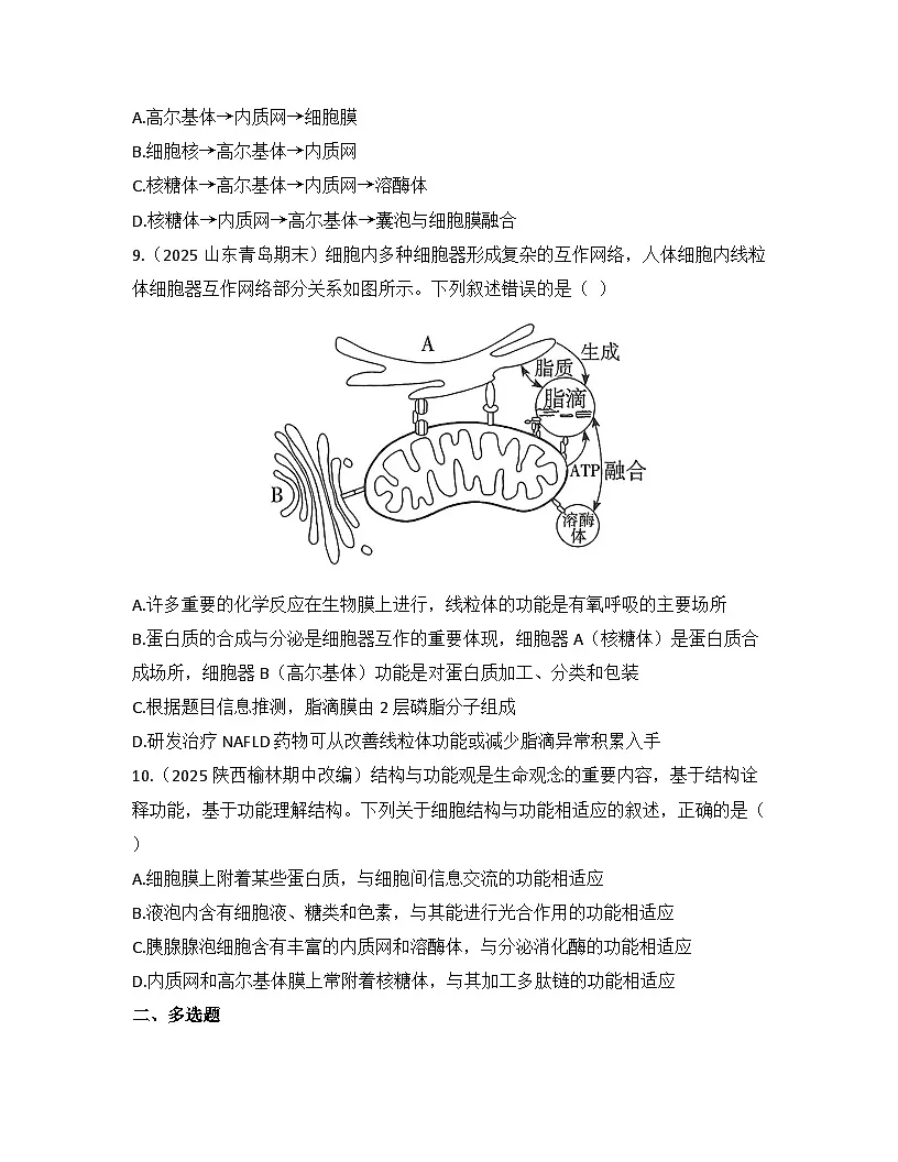 3.2细胞器之间的分工合作-同步练习 2025—2026学年高一上学期生物人教版必修1第3页