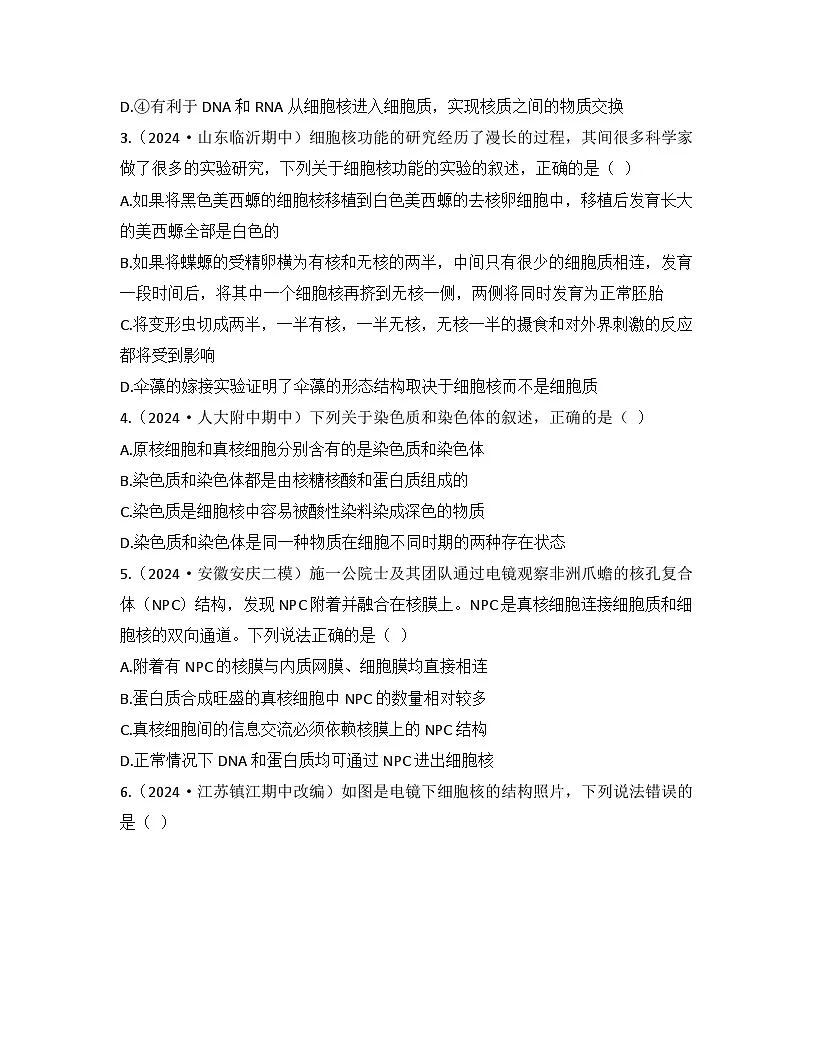 3.3细胞核的结构和功能-同步练习 2025—2026学年高一上学期生物人教版必修1第2页