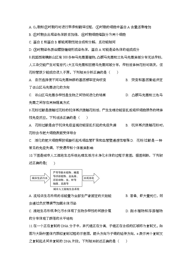吉林省白城市洮北区白城市第一中学2025-2026学年高三上学期开学生物试题第3页