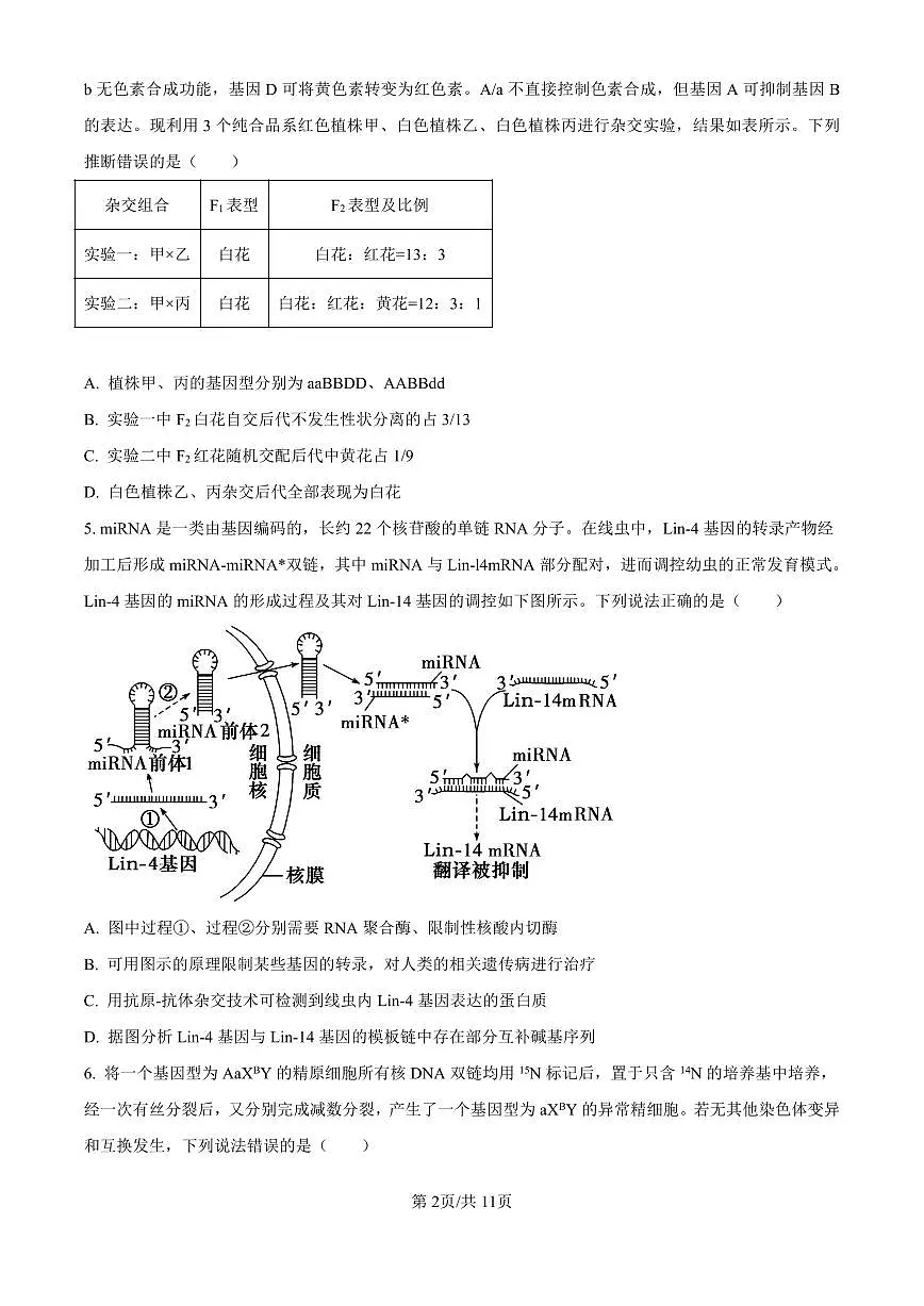精品解析:山东省济南市第一中学2024-2025学年高三上学期10月月考生物试题(原卷版)第2页