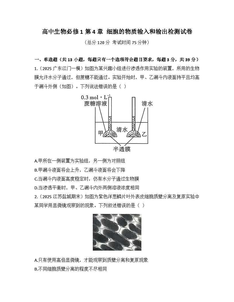 第4章 细胞的物质输入和输出-检测卷 2025—2026学年高一上学期生物人教版必修1第1页