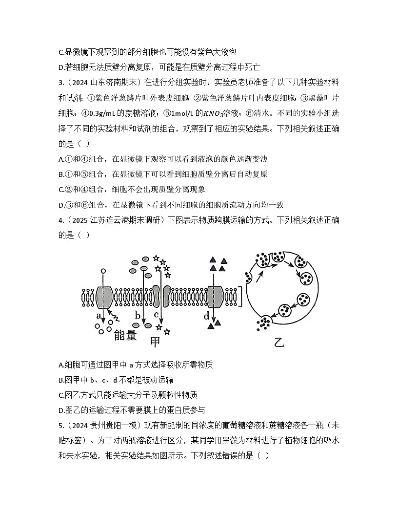 第4章 细胞的物质输入和输出-检测卷 2025—2026学年高一上学期生物人教版必修1第2页