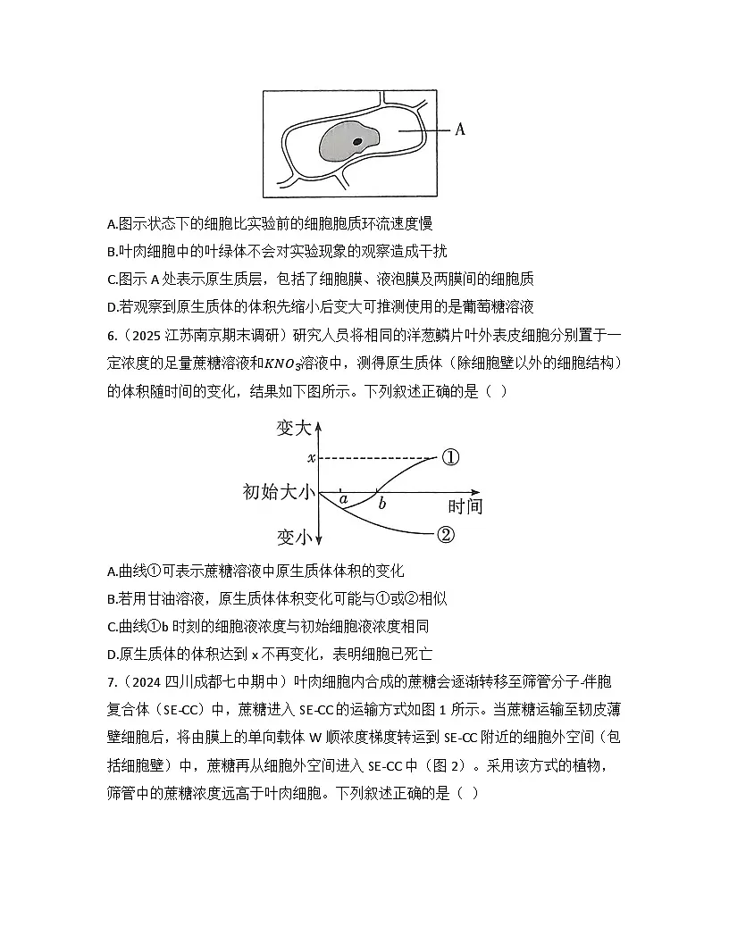 第4章 细胞的物质输入和输出-检测卷 2025—2026学年高一上学期生物人教版必修1第3页