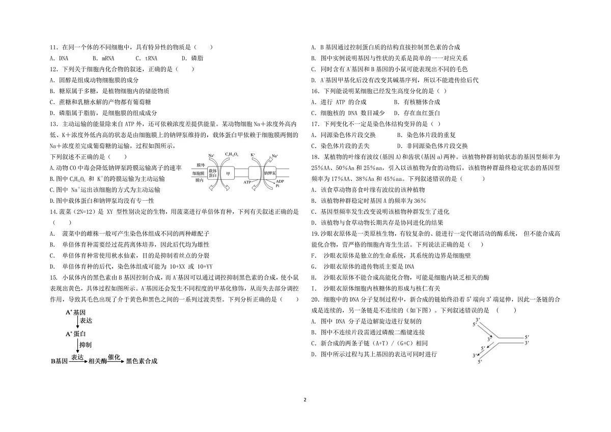宁夏青铜峡市宁朔中学2025-2026学年高二上学期开学考试生物试卷第2页