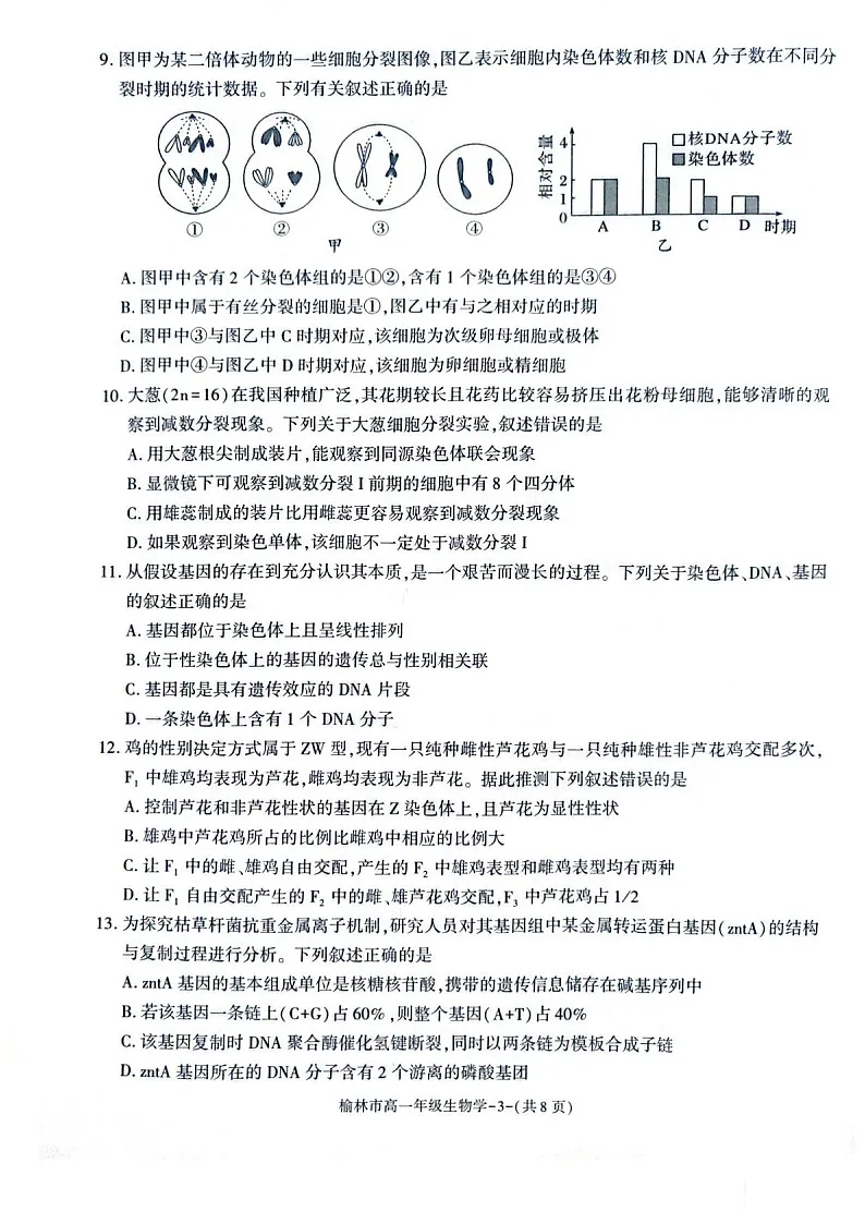 陕西省榆林市普通高中2024-2025学年高一下学期期末检测生物试卷第3页