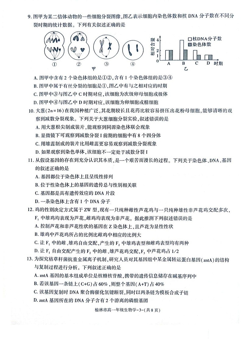 陕西省榆林市普通高中2024-2025学年高一下学期期末检测生物试卷第3页