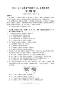 四川省成都市蓉城名校联盟2024-2025学年高一下学期期中考试生物试卷+答案