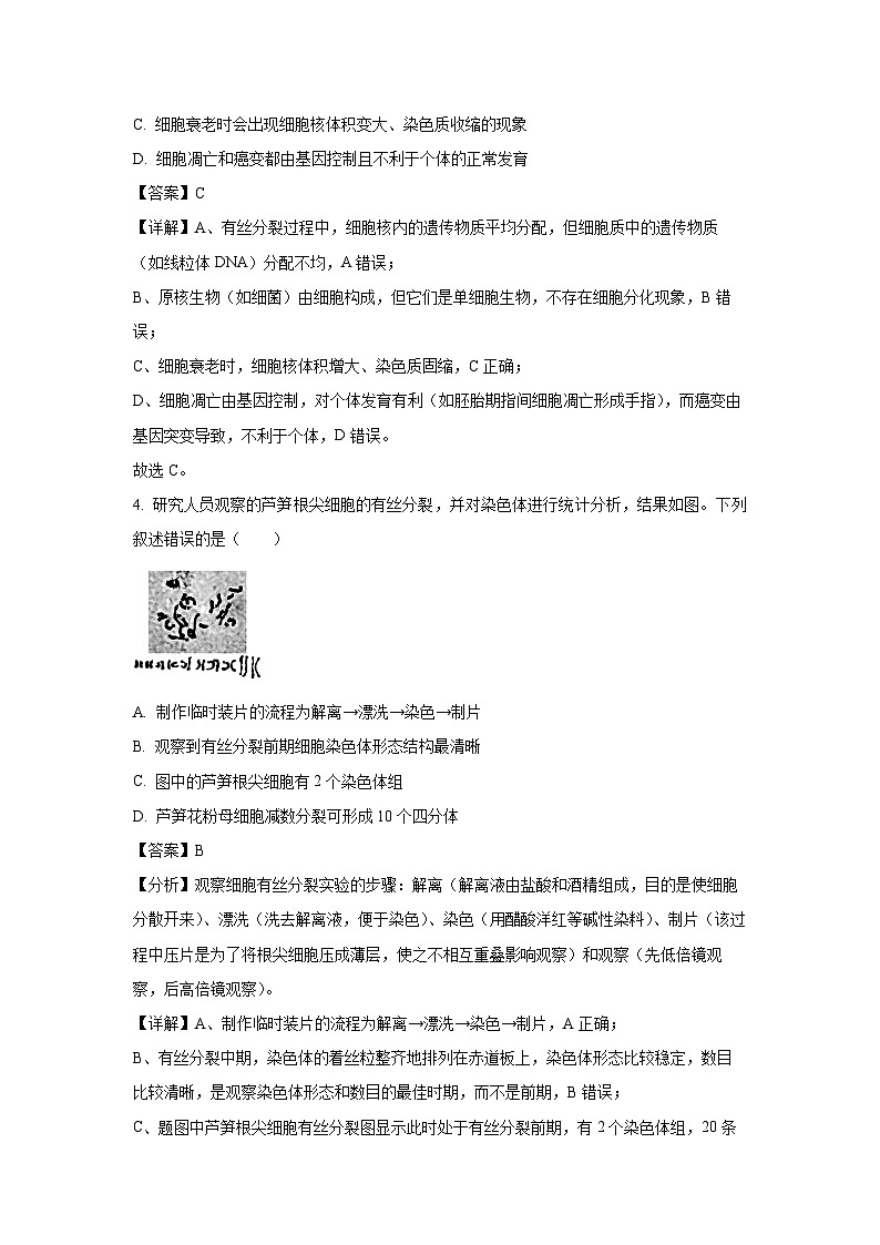 【生物】广东省肇庆市2024-2025学年高一下学期期末考试试题(解析版)第2页