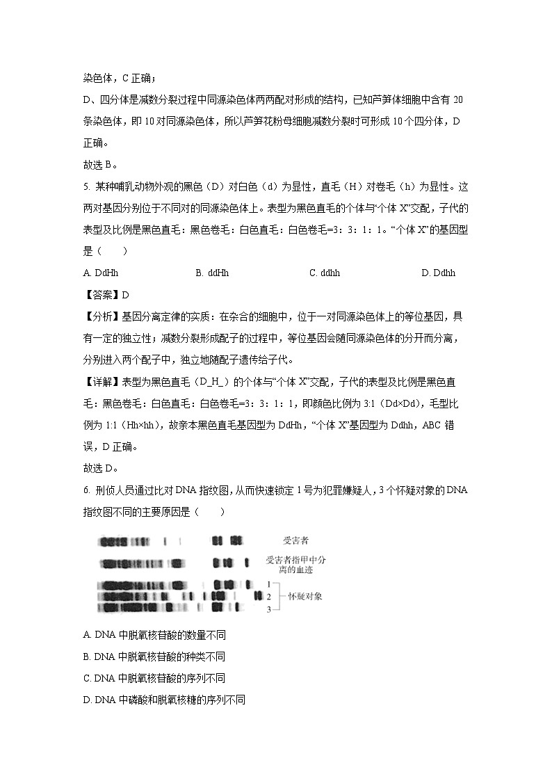 【生物】广东省肇庆市2024-2025学年高一下学期期末考试试题(解析版)第3页