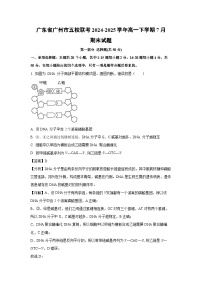 【生物】广东省广州市五校联考2024-2025学年高一下学期7月期末试题（解析版）