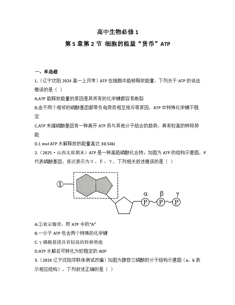 5.2细胞的能量“货币”ATP-同步练习 2025—2026学年高一上学期生物人教版必修1第1页