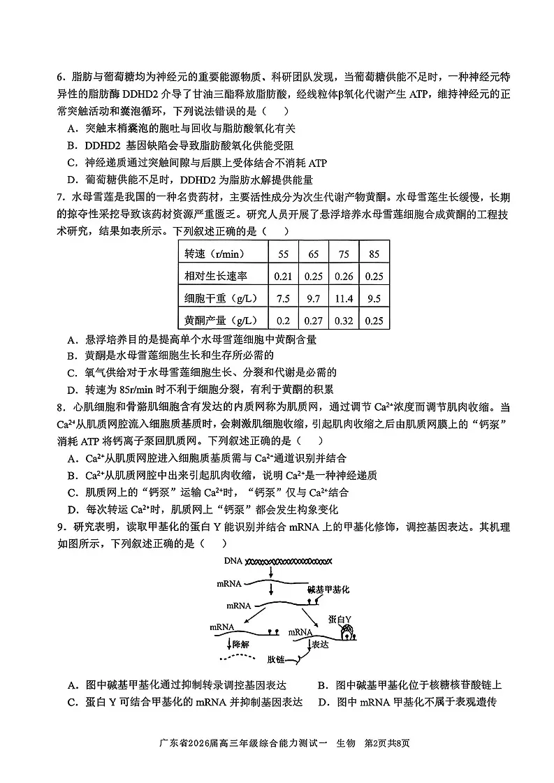 2025-2026学年广东省高三上学期开学一模联考生物试卷第2页