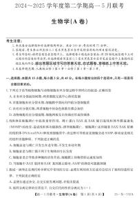 安徽省县中联盟2024-2025学年高一下学期5月联考生物(A卷)+答案