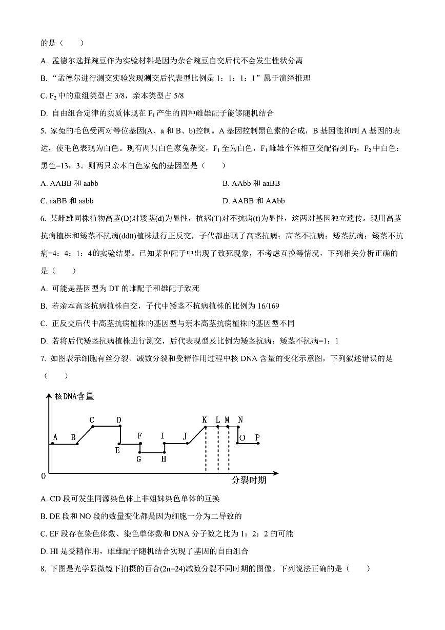 山东省名校联盟2024-2025学年高一下学期3月校际联考生物试题(有答案)第2页