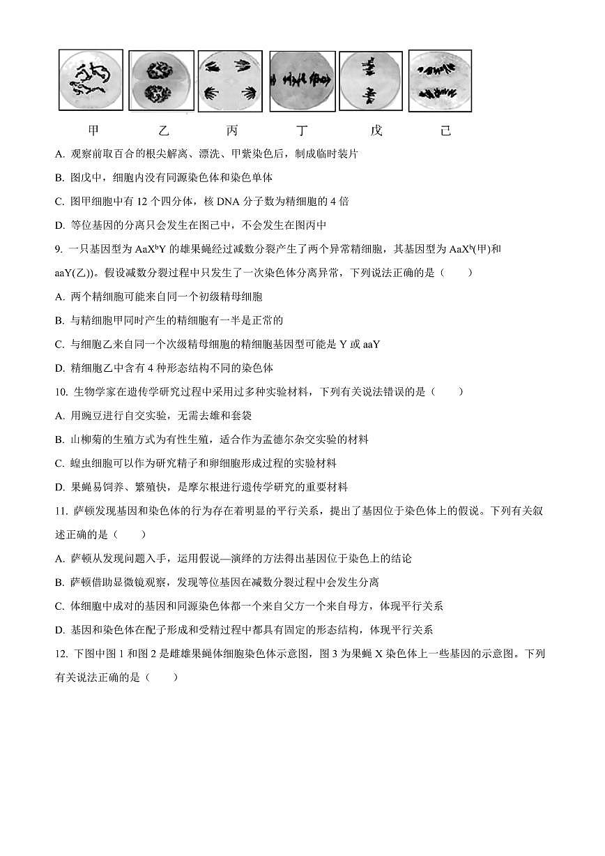 山东省名校联盟2024-2025学年高一下学期3月校际联考生物试题(有答案)第3页
