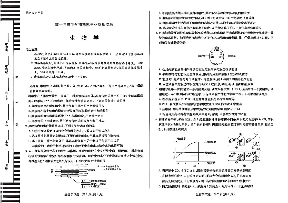 河南省濮阳市2024-2025学年高一下学期7月期末考试 生物试卷第1页