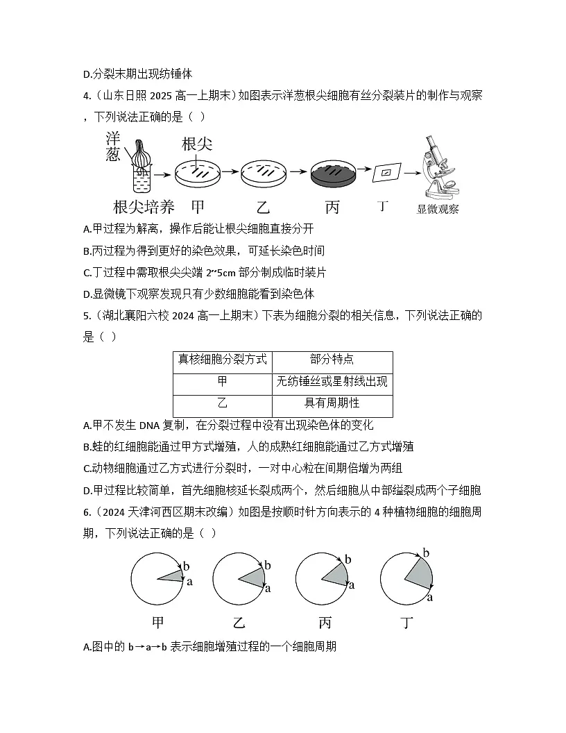 6.1细胞的增殖-同步练习 2025—2026学年高一上学期生物人教版必修1第2页