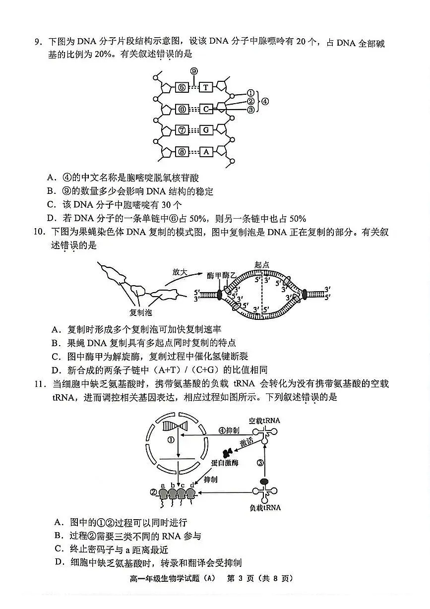 江苏省连云港市赣榆区2024-2025学年高一下学期4月期中考试生物试卷+答案第3页