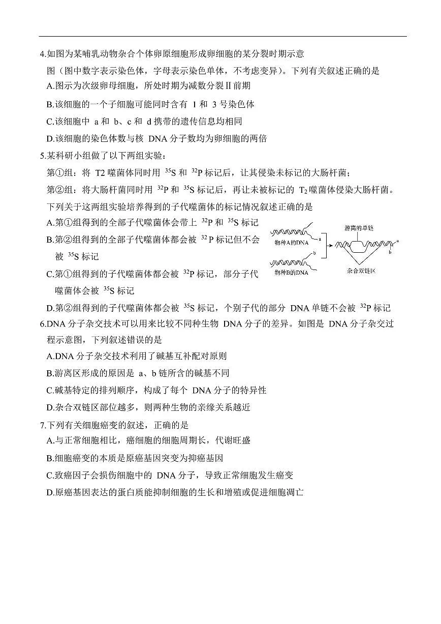 湖南省沅澧共同体2024-2025学年高一下学期期末考试生物试卷第2页