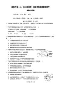 福建省厦泉五校2024-2025学年高一下学期4月期中考试生物试卷+答案