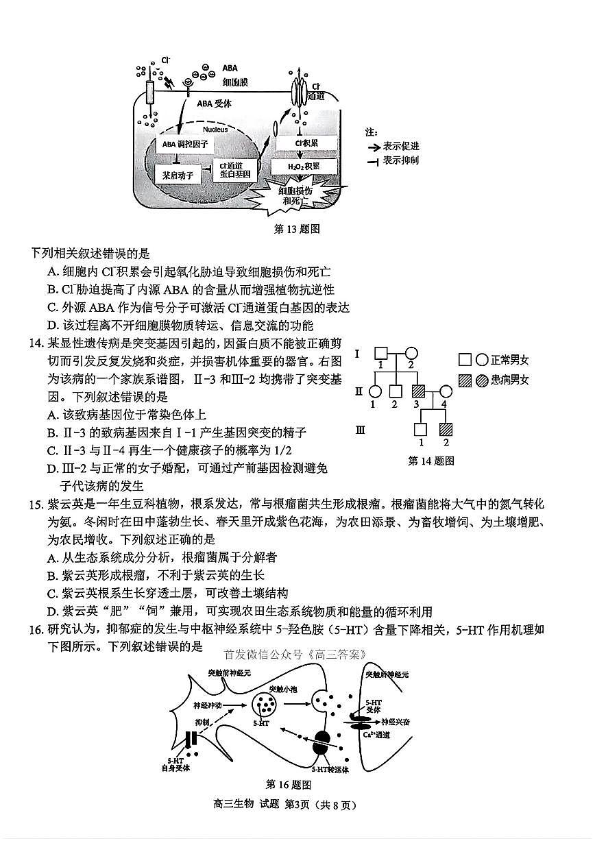 浙江七彩阳光新高考研究联盟2025学年高三上学期开学返校联考生物试题及答案第3页