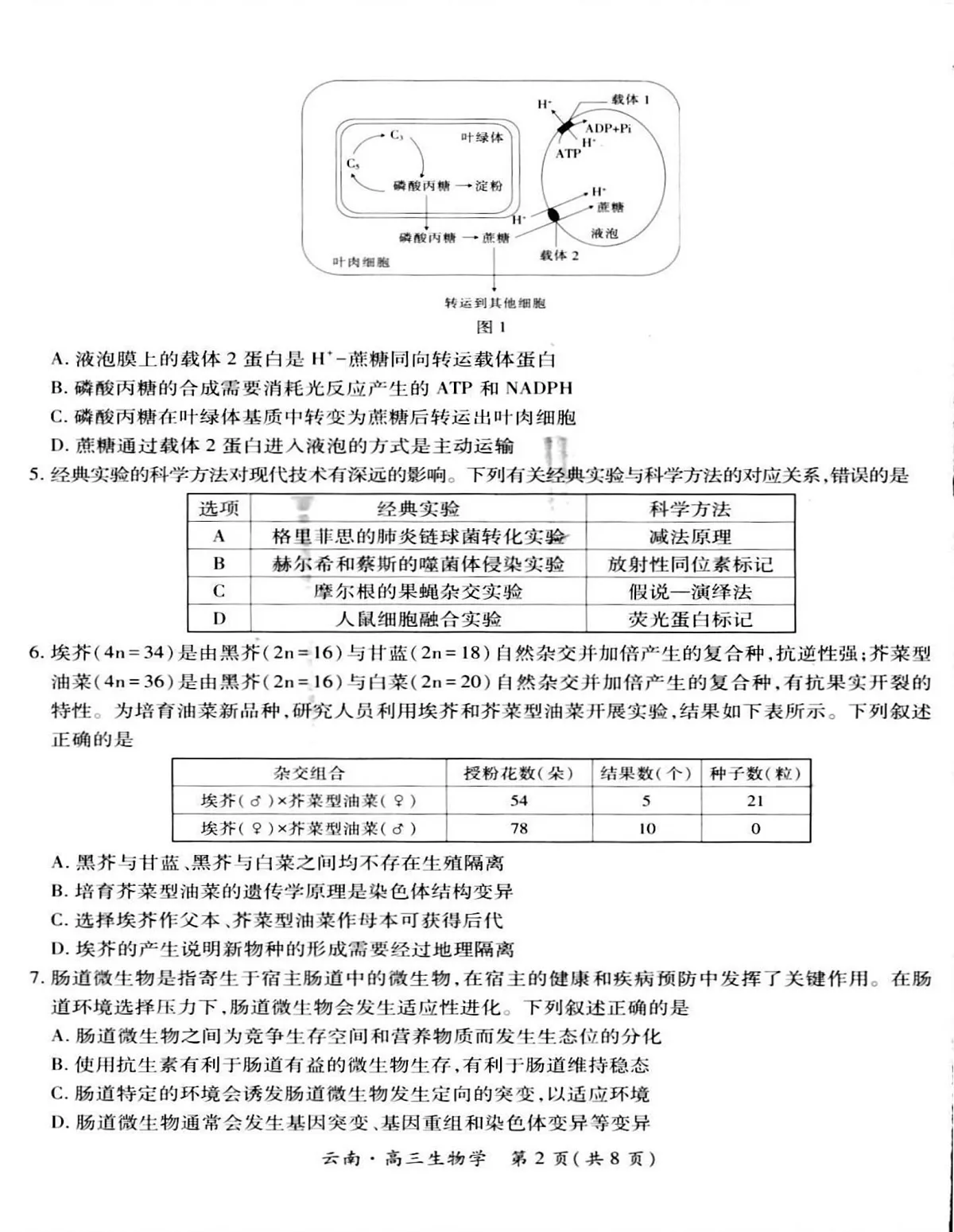 云南民族大学附属高级中学2025-2026学年高三上学期联考(一)生物试卷第2页