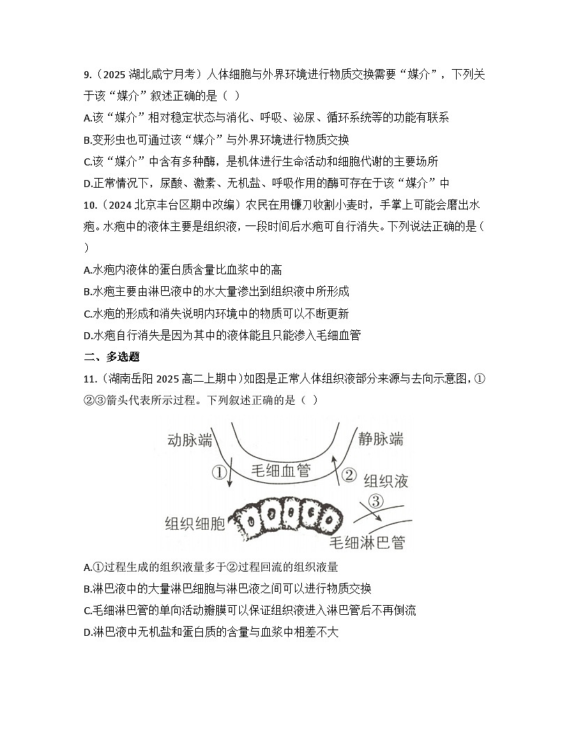 高中生物人教版(2019)选择性必修1 稳态与调节第1章第1节 细胞生活的环境检测试卷(及答案)第3页