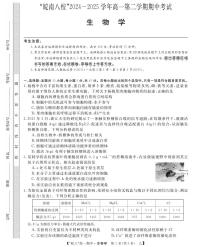 安徽皖南八校”2024-2025学年高一第二学期期中考试生物试卷（乙）+答案